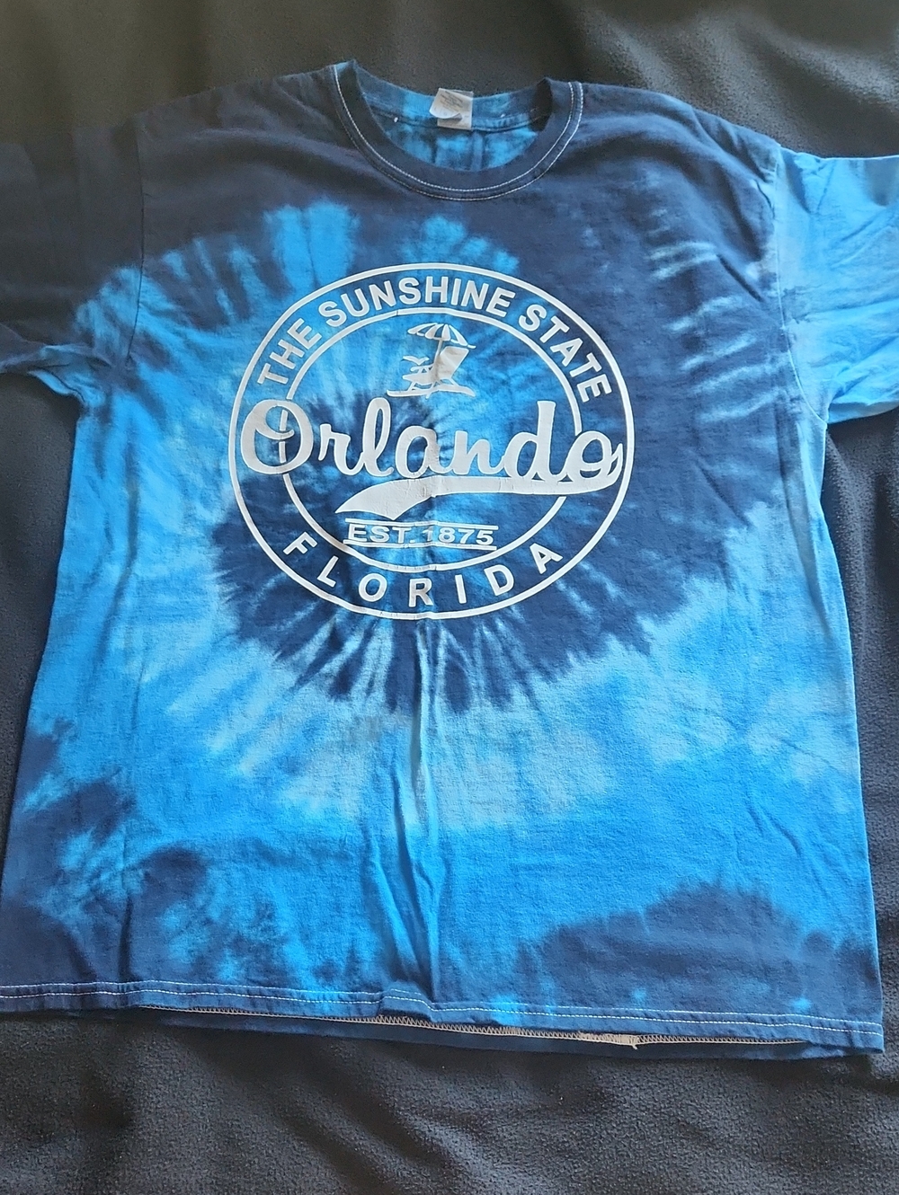 Orlando Florida Tie-Dye Graphic Tee - Blue